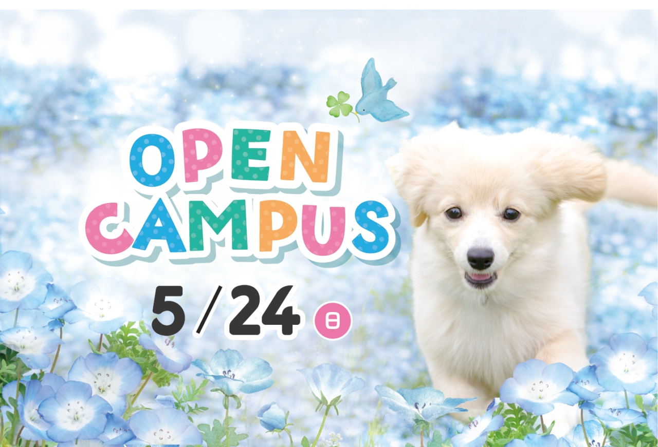 5月24日（日）オープンキャンパス 出願まるわかり説明会！