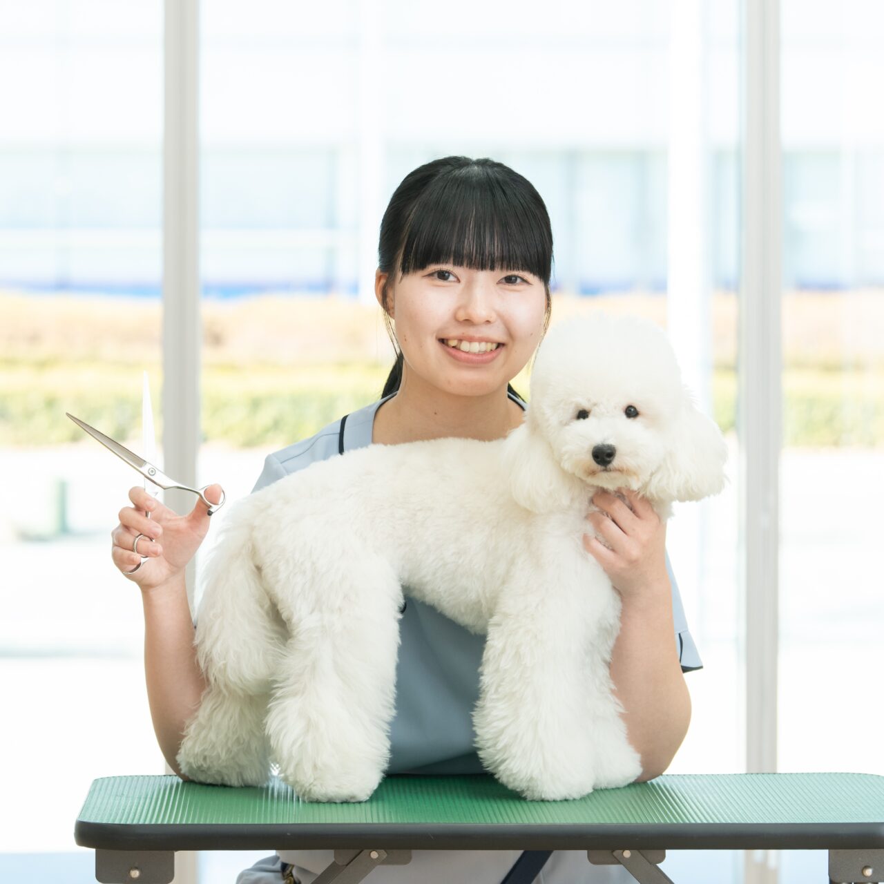10月10日（土）ペットエステ・トリミング科 ウィッグ顔カット体験講座✂