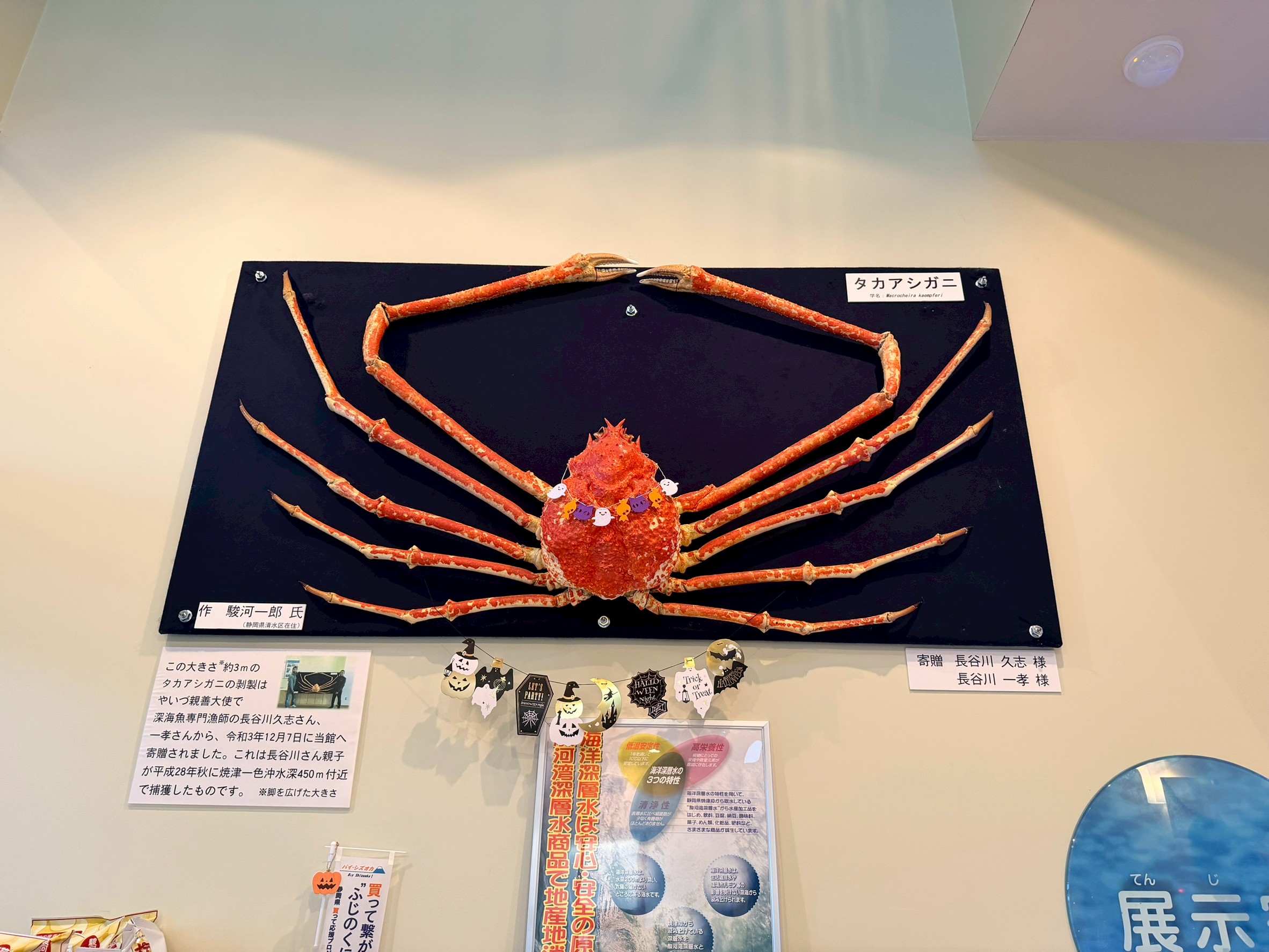 深海ヤバすぎ】秒で凍るマイナス40℃の世界と深海漁師のリアル！駿河湾