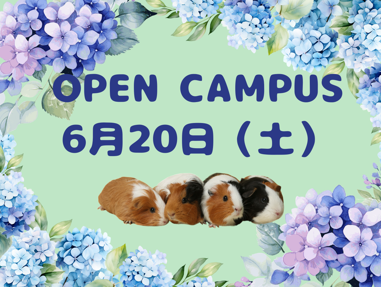 6月20日（土）オープンキャンパス