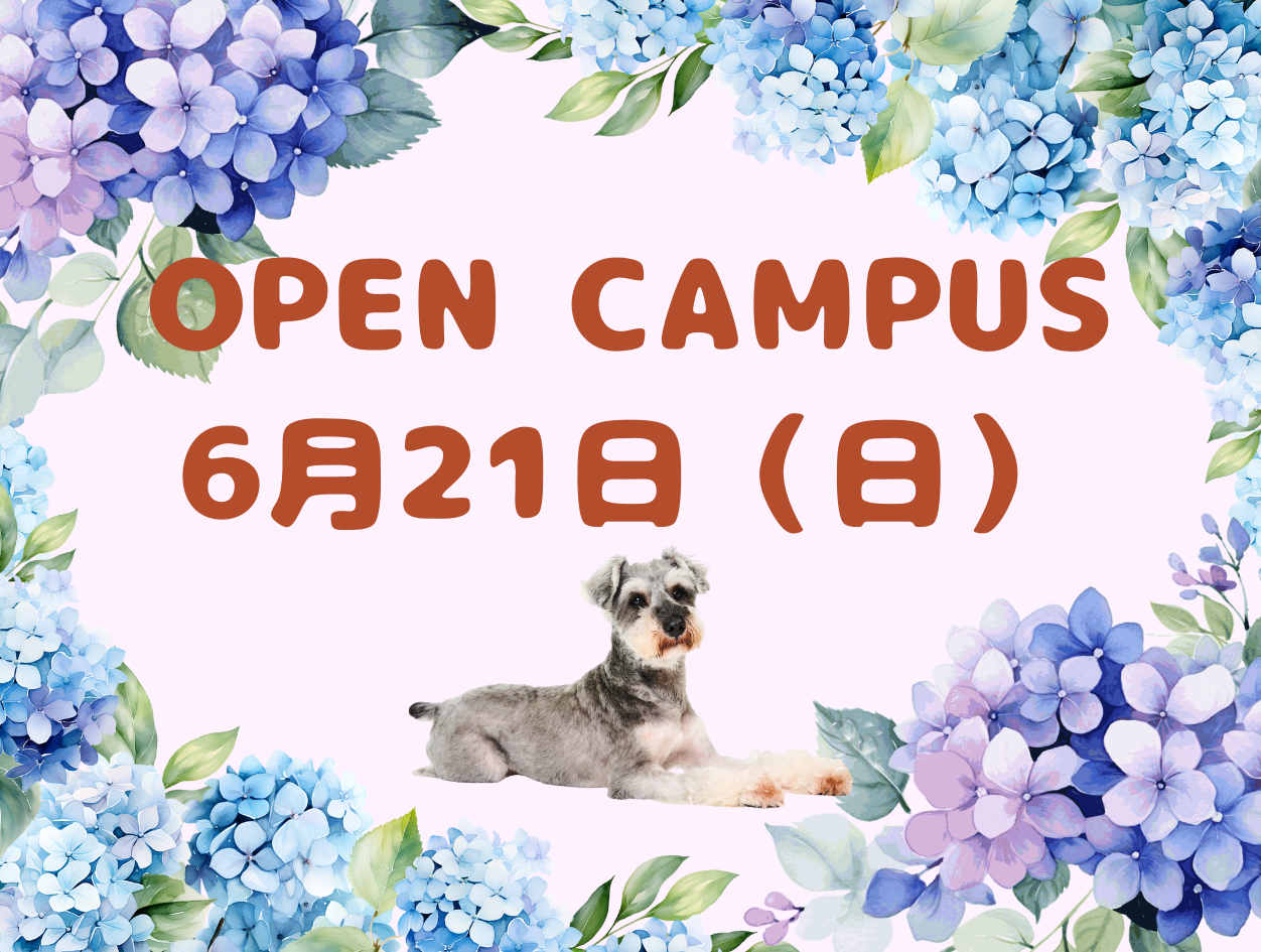 6月21日（日）オープンキャンパス