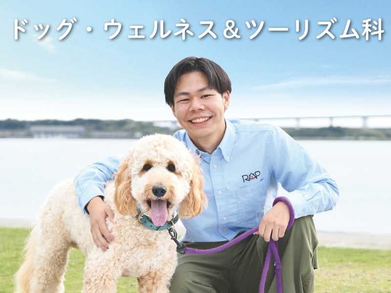 【放課後開催】わんこと触れ合い体験♪