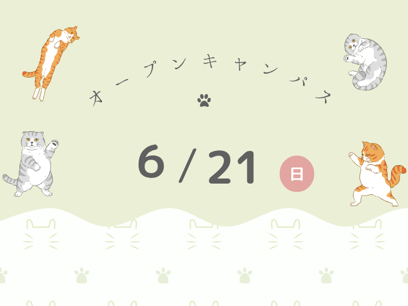 オープンキャンパス