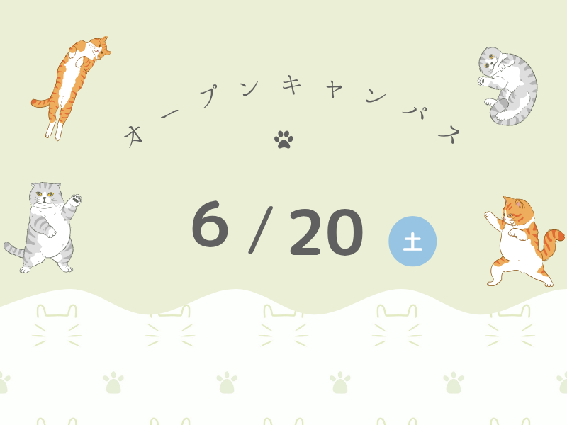 オープンキャンパス