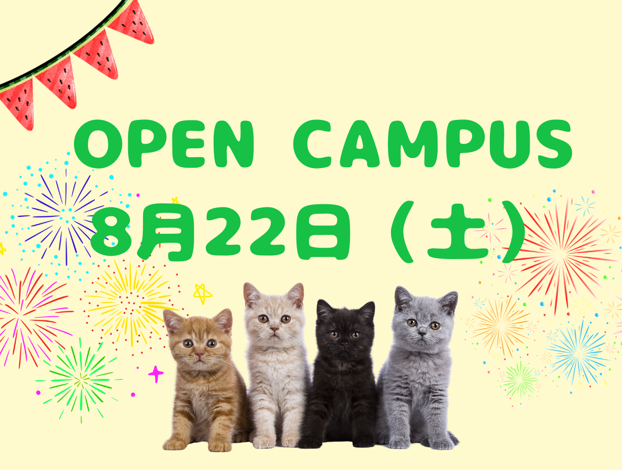 全学年参加OK♪ 8月のオープンキャンパスで進路研究！