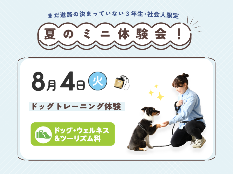 【3年・社会人限定】ドッグトレーニング体験
