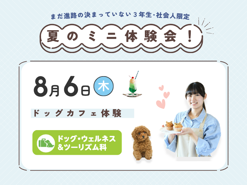【3年生・社会人限定】ドッグカフェ体験