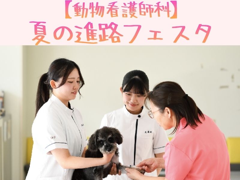 8月3日(月)~6日(木) 動物看護師科 夏の進路フェスタ💉