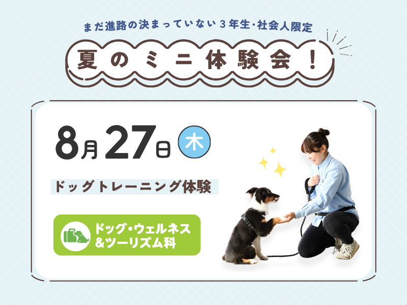 【3年生・社会人限定】ドッグトレーニング体験
