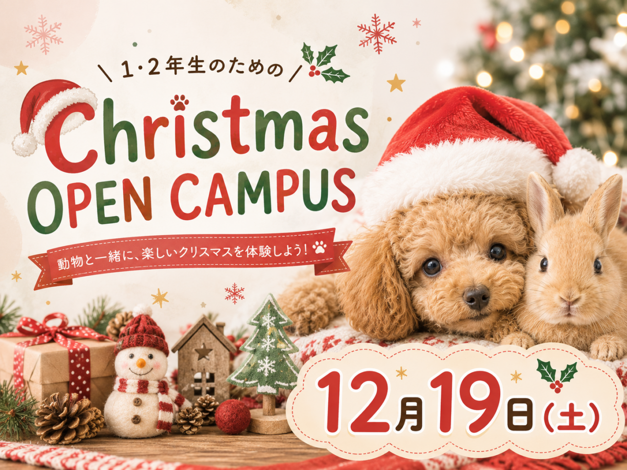 【1・2年生向け】クリスマスオープンキャンパス♪