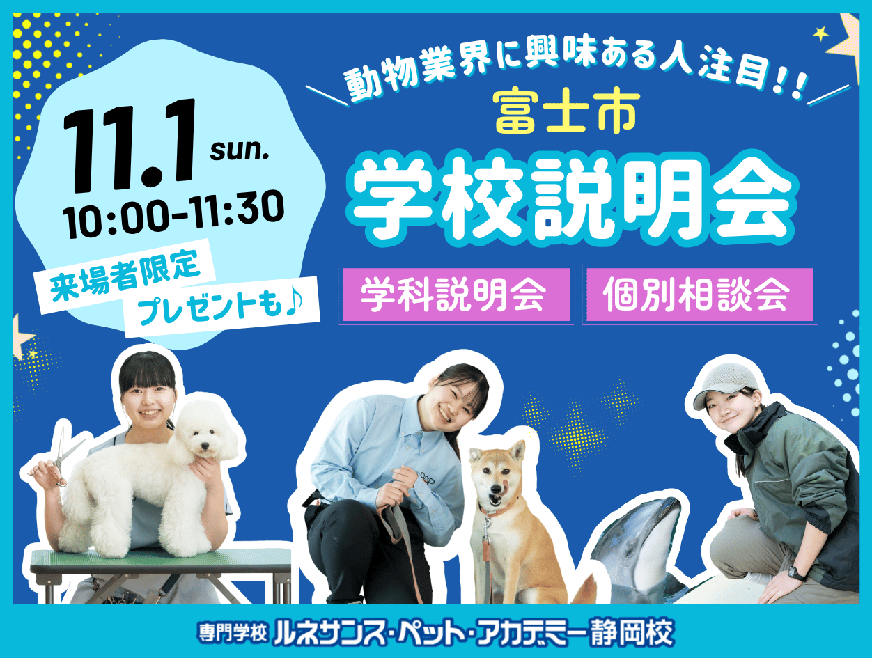 無料学校説明会@富士市