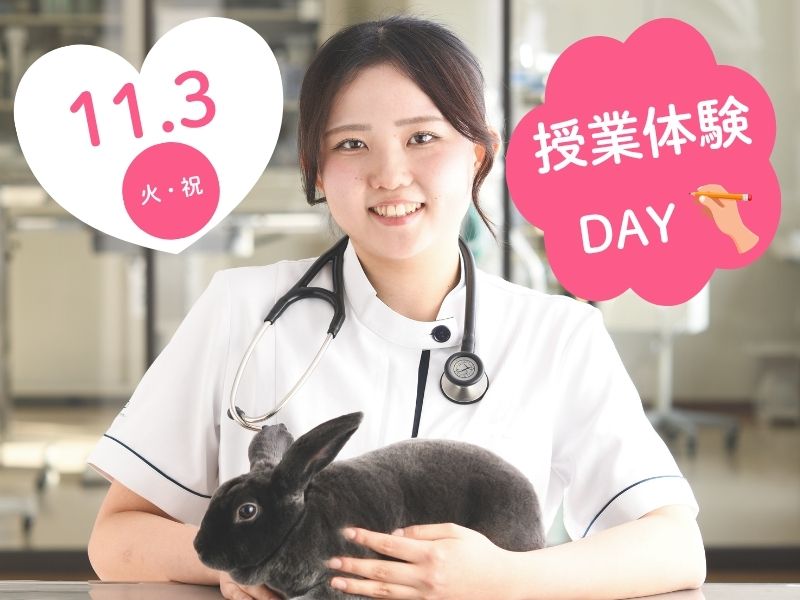 動物看護師科:授業体験DAY 在校生と一緒に受講✍ 3年+社会人限定